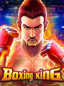 Tudo Sobre BoxingKing: O Jogo Que Está Dominando PLAYPP