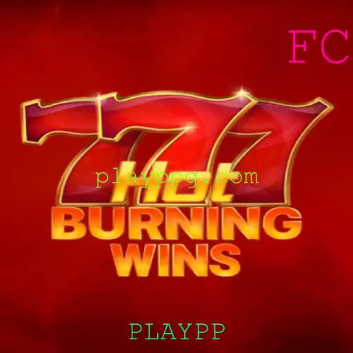 Explorando o Mundo de HotBurningWins: Diversão e Regras do Jogo